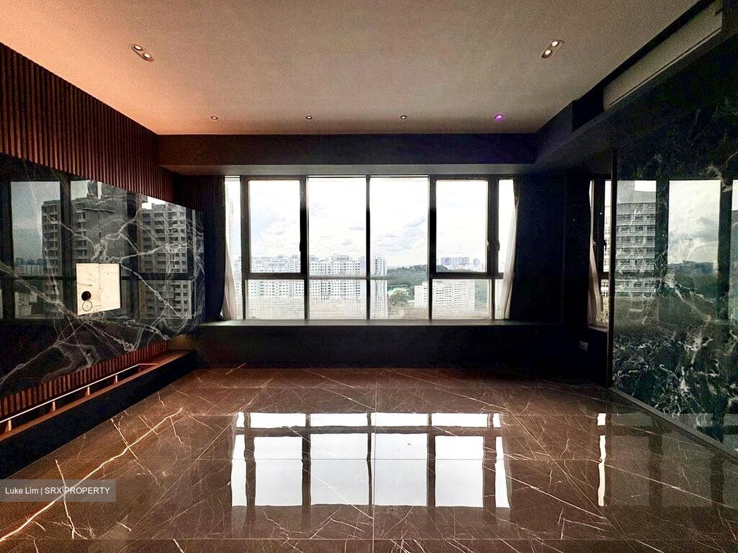 Skyline Residences (D4), Condominium #477795901